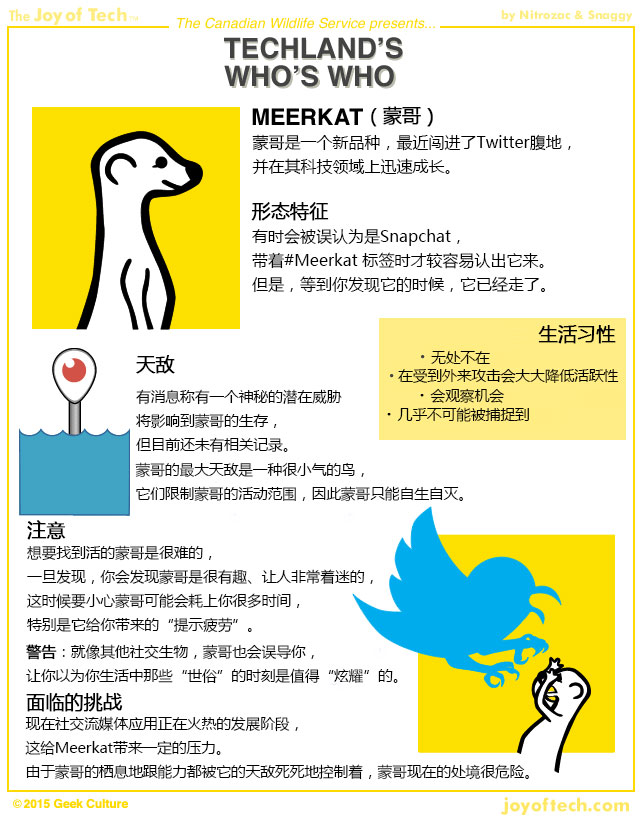 不和你玩了，Twitter封杀直播应用Meerkat