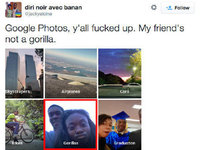 太逗了！谷歌照片应用把黑人标记成“大猩猩”