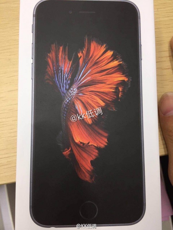 iPhone 6s包装盒再曝光 华强北报价曝光