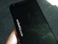 “熊猫机”！LG Nexus 5X谍照曝光