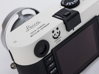 这两只“熊猫”有点贵 徕卡推出两款限量版M-P相机