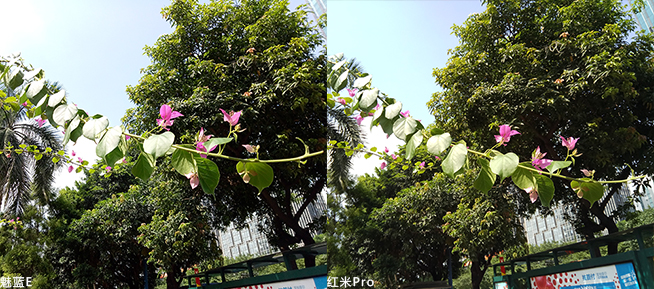 红米Pro/魅蓝E该买谁：千元旗舰四大项全面对比
