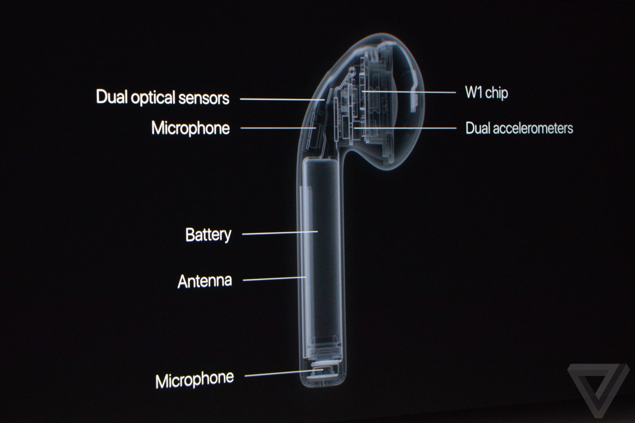 科客晚报：iPhone 7预售开始 张震确认为OPPO代言