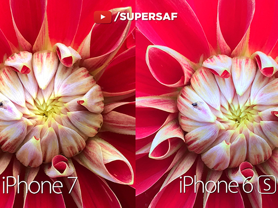 iPhone 7对比6s：拍摄效果提升很明显