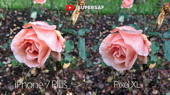 最强之战：谷歌Pixel XL vs iPhone 7 Plus