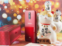 OPPO R17 Pro新年版开箱：祥云小金猪陪你迎新年