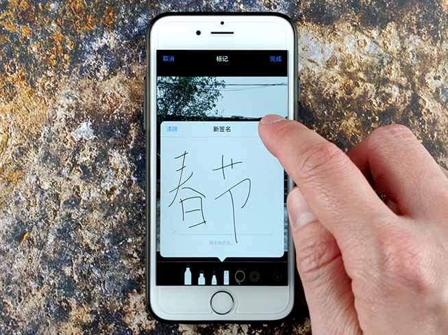 1549876035226112.jpg