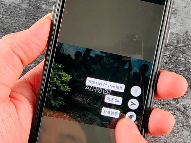 苹果Live Photo分享朋友圈：用它还原每张照片背后的故事
